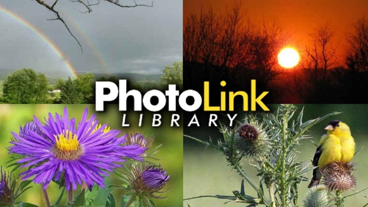 PhotoLink Library