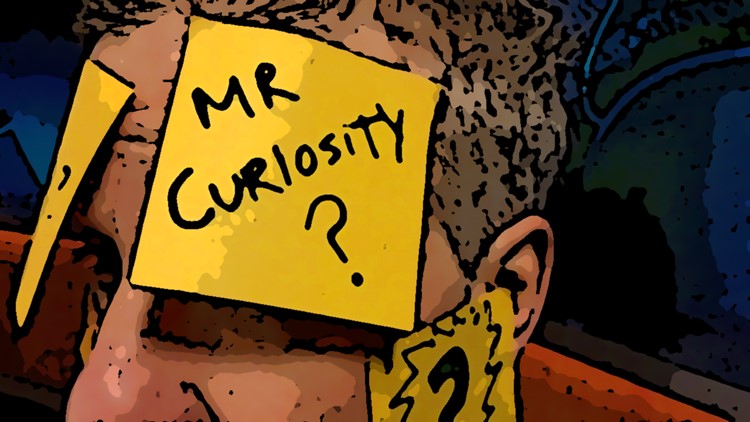 Mr. Curiosity