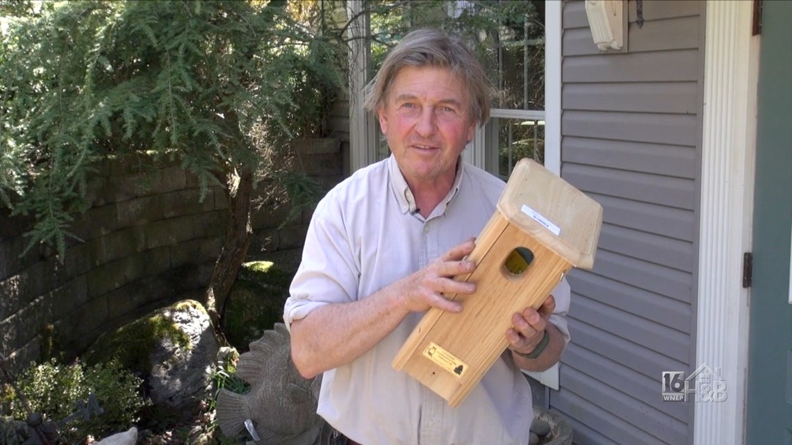 What Bird Houses Are Best For Your Feathered Nesters