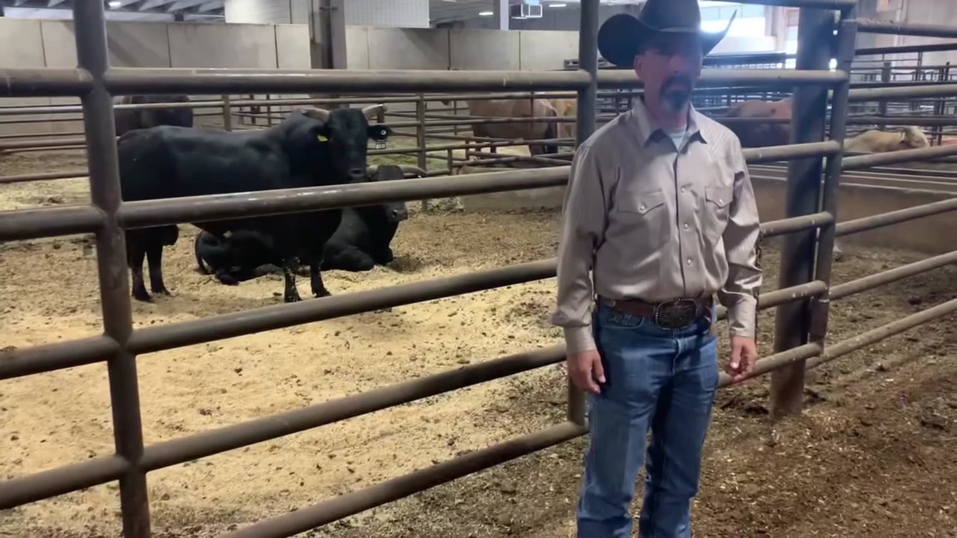 A man from Jersey Shore has two bulls competing in the Professional Bull Riding World Finals in Texas.