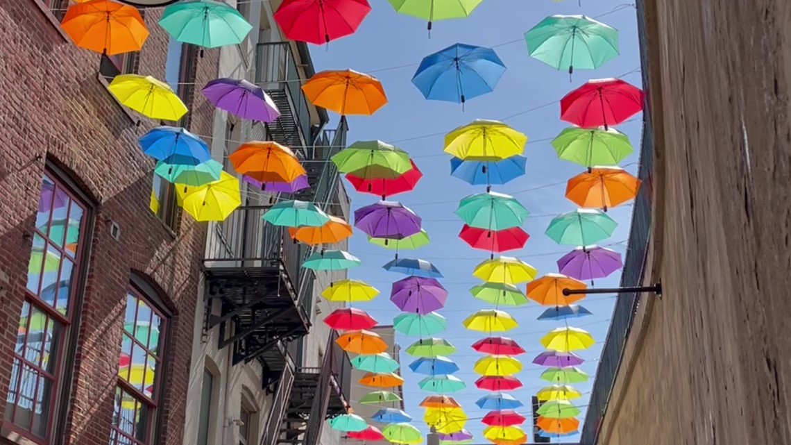 A colorful canopy | On The Pennsylvania Road