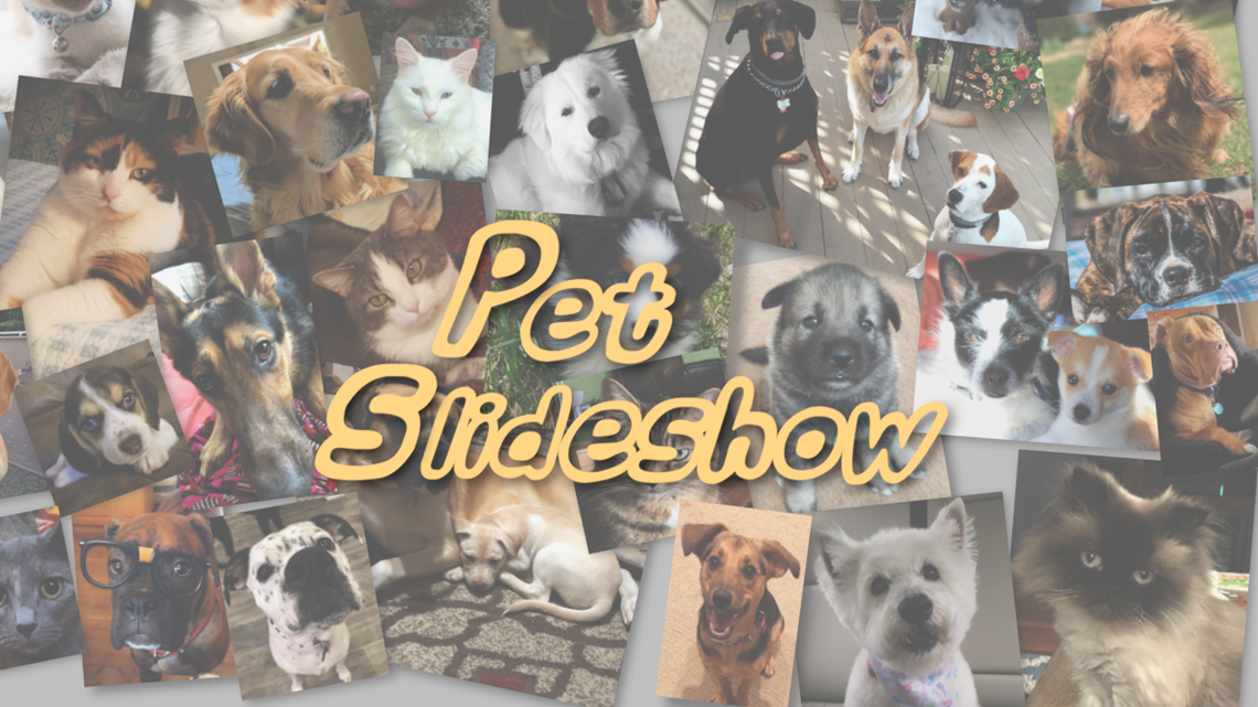 Pet Slideshow